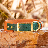 BioThane® Layered Two Tone Buckle Collar - 1" & 1.5"