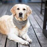 golden retriever dog laying on boat deck wearing black and white houndstooth bandana