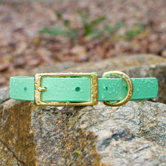 Vivid Canine BioThane® waterproof buckle dog collar seafoam - durable outdoor pet gear available in XS-XL sizes
