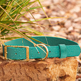 BioThane® Waterproof Buckle Dog Collar - Teal