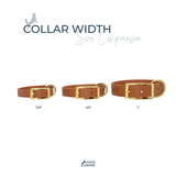 Collar width size comparison showing three collars in 5/8, 3/4, and 1" widths on a white background