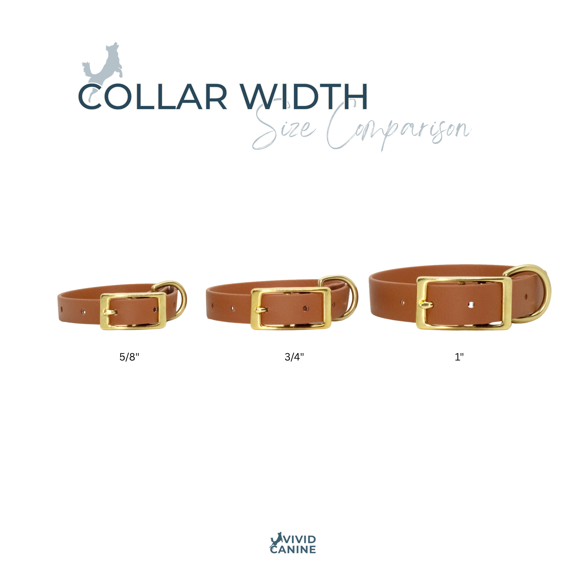 Collar width size comparison showing three collars in 5/8, 3/4, and 1" widths on a white background