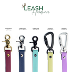 a collection of five different types of dog leashes, each with a unique color and design, arranged in a row.