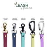 a collection of five different types of dog leashes, each with a unique color and design, arranged in a row.
