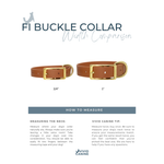 Fi buckle collar width comparison showing 3/4 and 1 inch widths on a white background