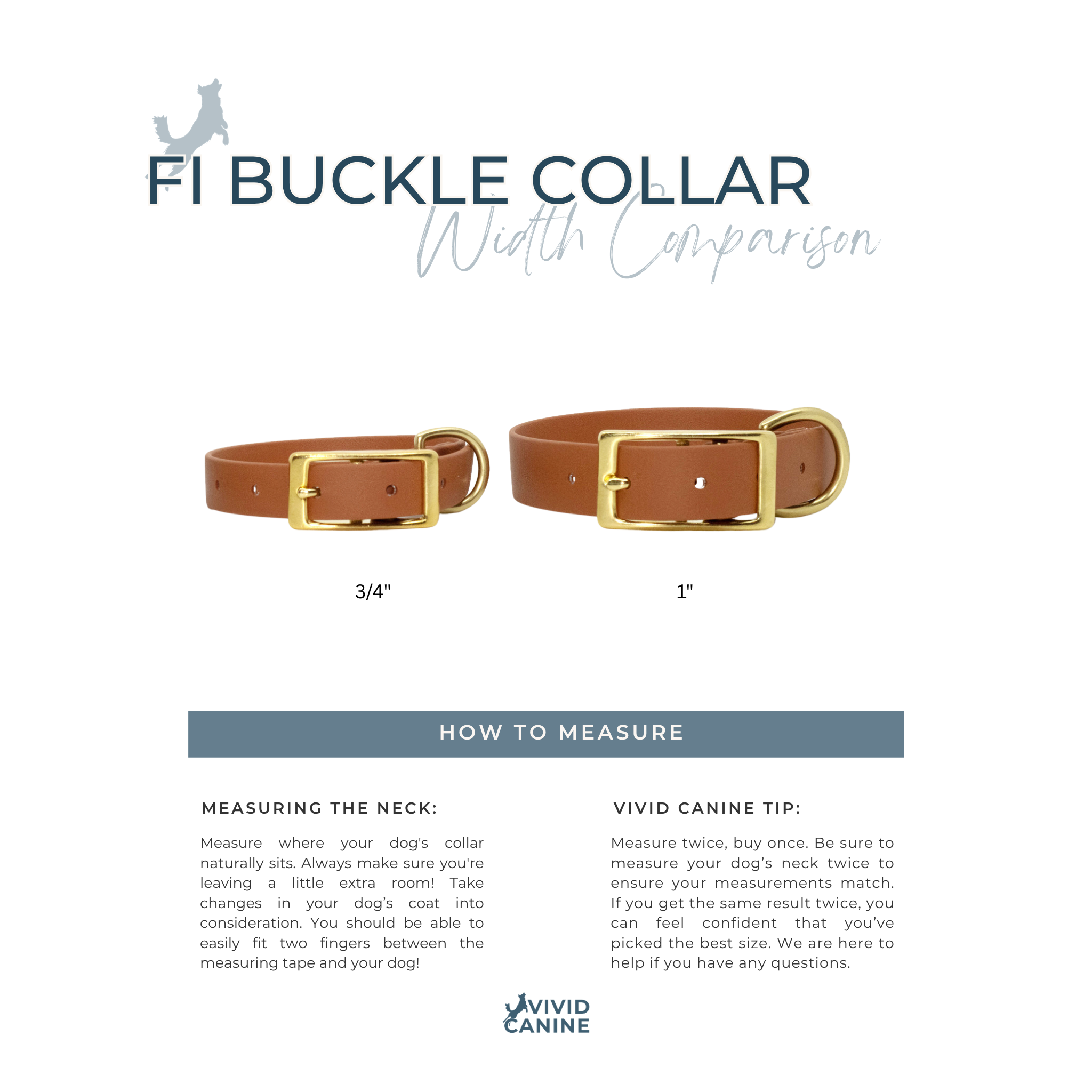 Fi buckle collar width comparison showing 3/4 and 1 inch widths on a white background