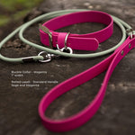 A biothane dog collar and matching rolled leash displayed on a dark textured surface. The collar is bright magenta, and the leash is a pale sage green with a silver metal snap hook.