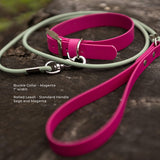 A biothane dog collar and matching rolled leash displayed on a dark textured surface. The collar is bright magenta, and the leash is a pale sage green with a silver metal snap hook.