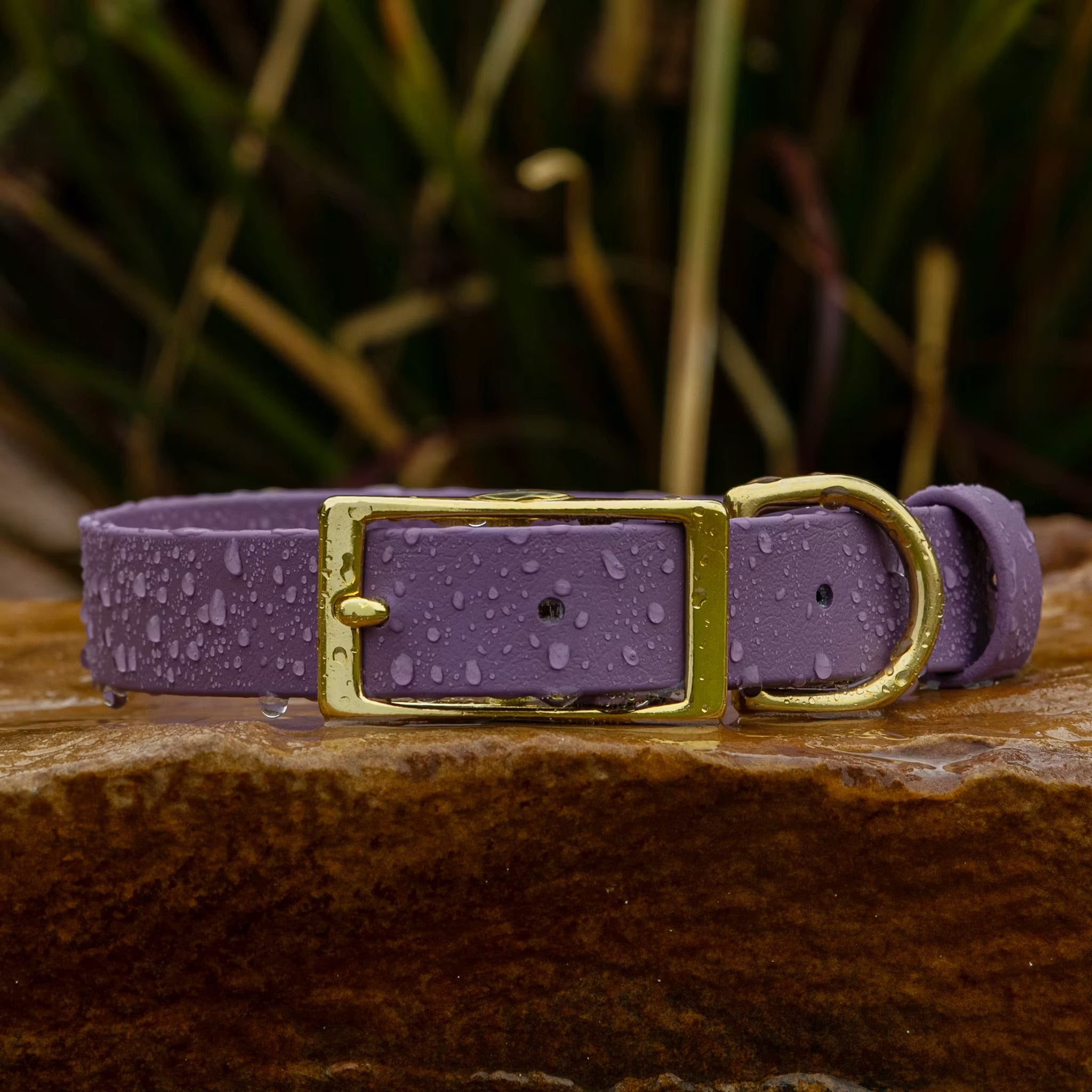 Vivid Canine BioThane® waterproof buckle dog collar mauve - durable outdoor pet gear available in XS-XL sizes