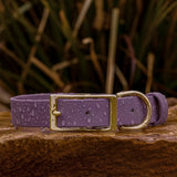BioThane® Waterproof Buckle Dog Collar - Mauve
