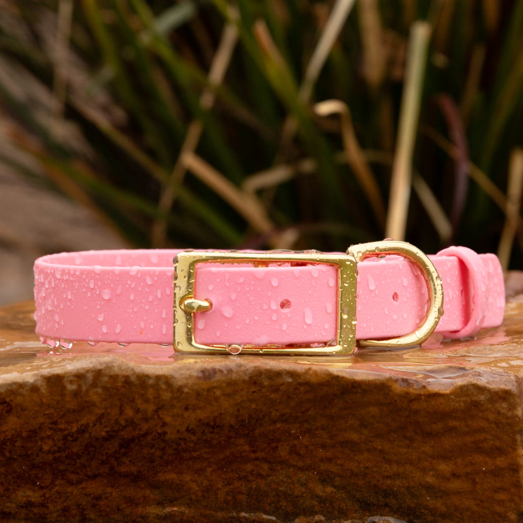 Vivid Canine BioThane® waterproof buckle dog collar pastel pink - durable outdoor pet gear available in XS-XL sizes