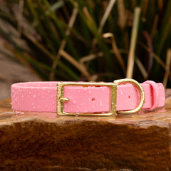 Vivid Canine BioThane® waterproof buckle dog collar pastel pink - durable outdoor pet gear available in XS-XL sizes