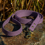 BioThane® Waterproof Dog Leash - Mauve