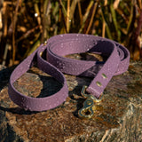 BioThane® Waterproof Dog Leash - Mauve