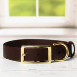 BioThane® Waterproof Buckle Dog Collar - Espresso