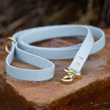 BioThane® Waterproof Dog Leash - Pastel Blue