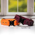 Two fi quick-release collars in tangerine and wine colors
