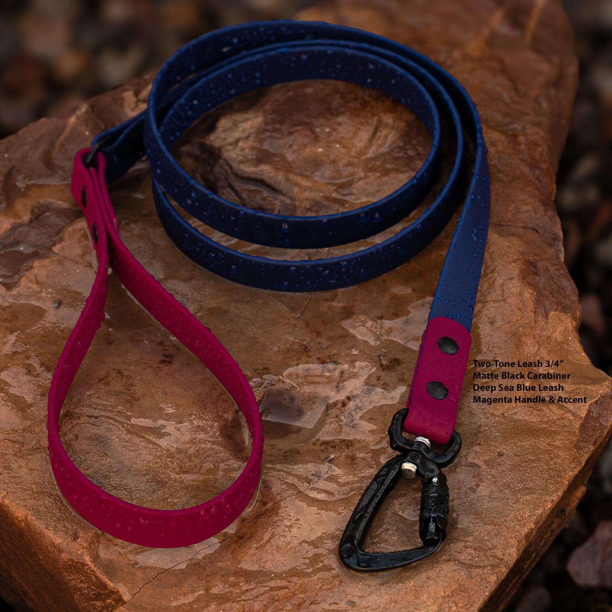 BioThane® waterproof two-tone dog leash in deep sea blue and magenta by Vivid Canine