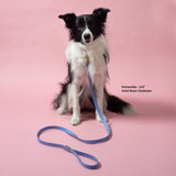BioThane® Waterproof Standard Leash
