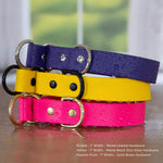  BioThane slip collar color options - waterproof dog collars by Vivid Canine