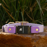 Close-up of Fi Series 3 compatible BioThane waterproof buckle collar showing durable construction