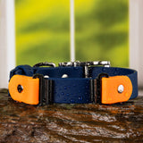 Close-up of Fi Series 3 collar in deep sea blue and tangerine colors, showing over-the-band design in 1 inch width