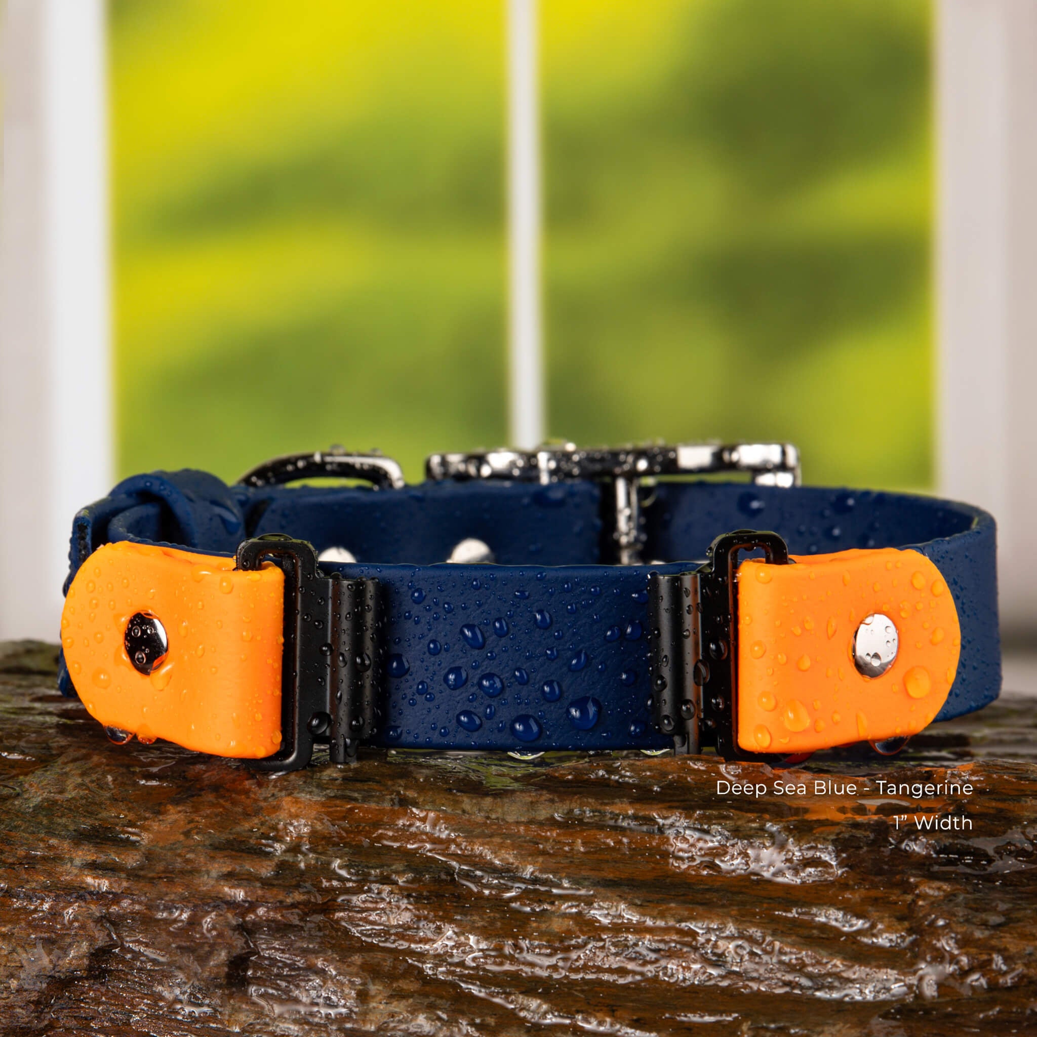 Close-up of Fi Series 3 collar in deep sea blue and tangerine colors, showing over-the-band design in 1 inch width