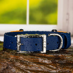 A BioThane deep sea blue fi-compatible buckle dog collar with water droplets, featuring a nickel-plated buckle resting on a wet rock surface with a blurred window background.