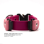 Close-up of Fi Series 3 collar showing over-the-band design