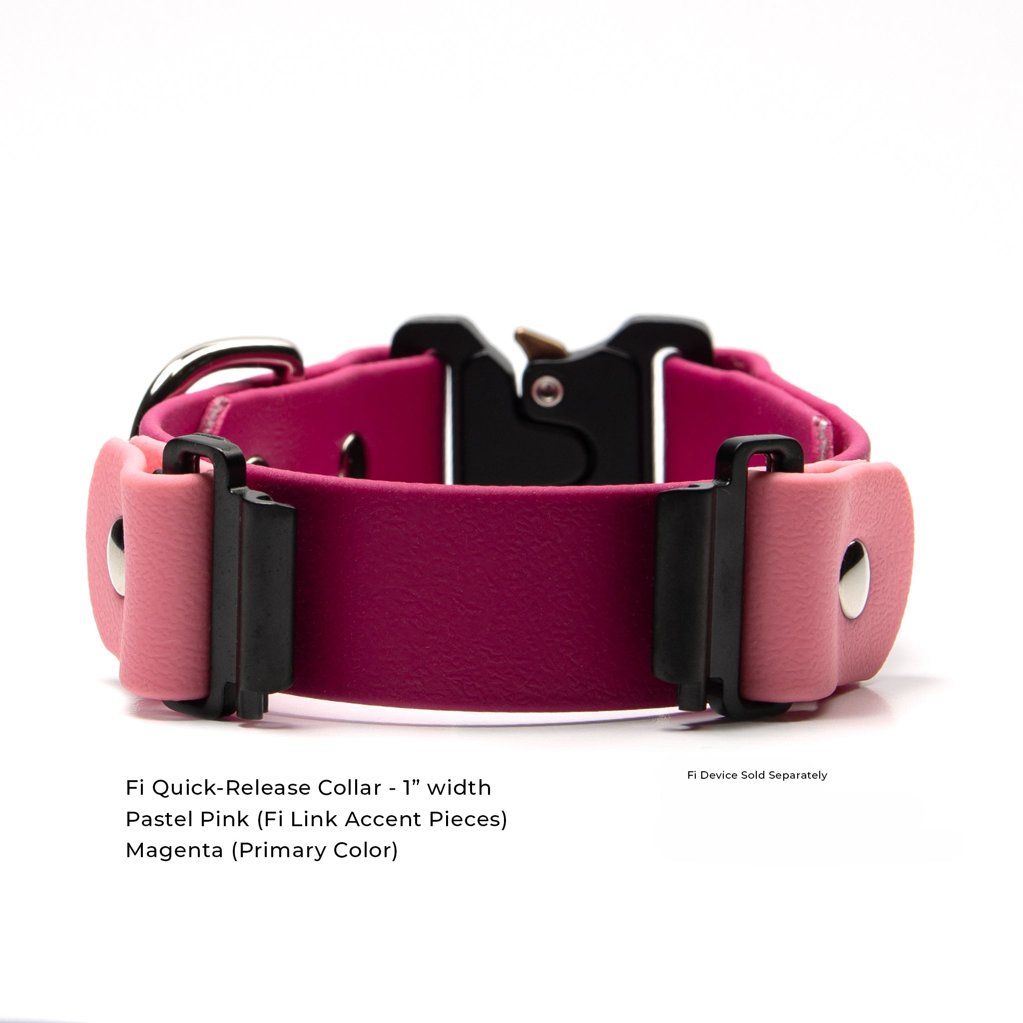 Close-up of Fi Series 3 collar showing over-the-band design