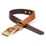 BioThane® Waterproof Two Tone Buckle Dog Collar