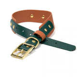 BioThane® Waterproof Layered Two Tone Buckle Collar - 1" & 1.5"