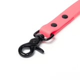 BioThane® Waterproof Dog Leash - Coral