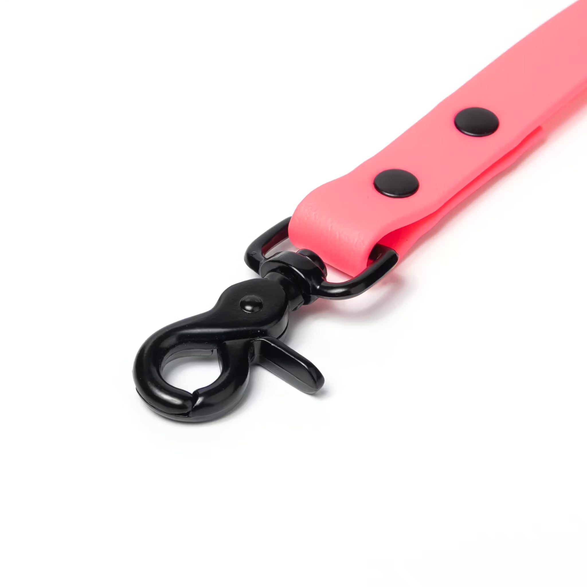 BioThane® Waterproof Dog Leash - Coral