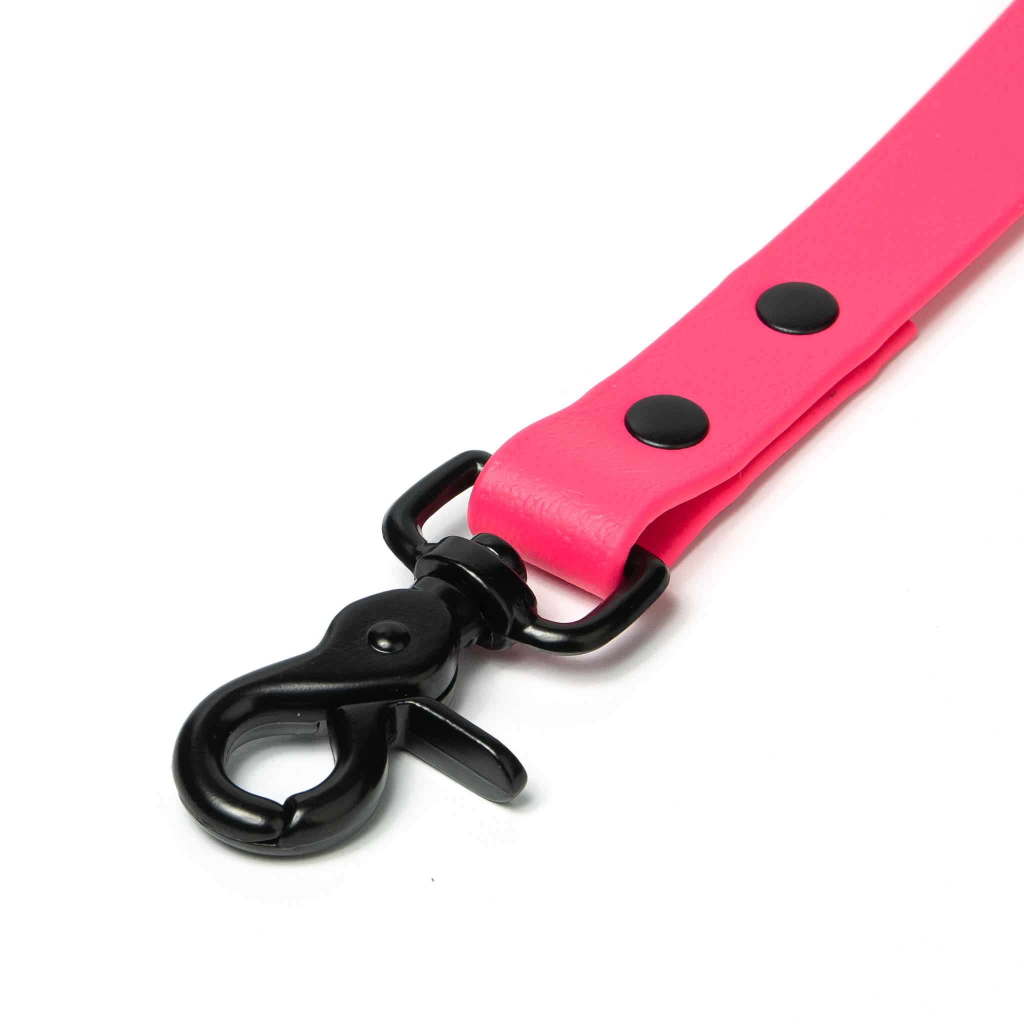 BioThane® Waterproof Dog Leash - Bubblegum Pink