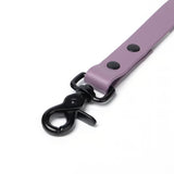 BioThane® Waterproof Dog Leash - Mauve