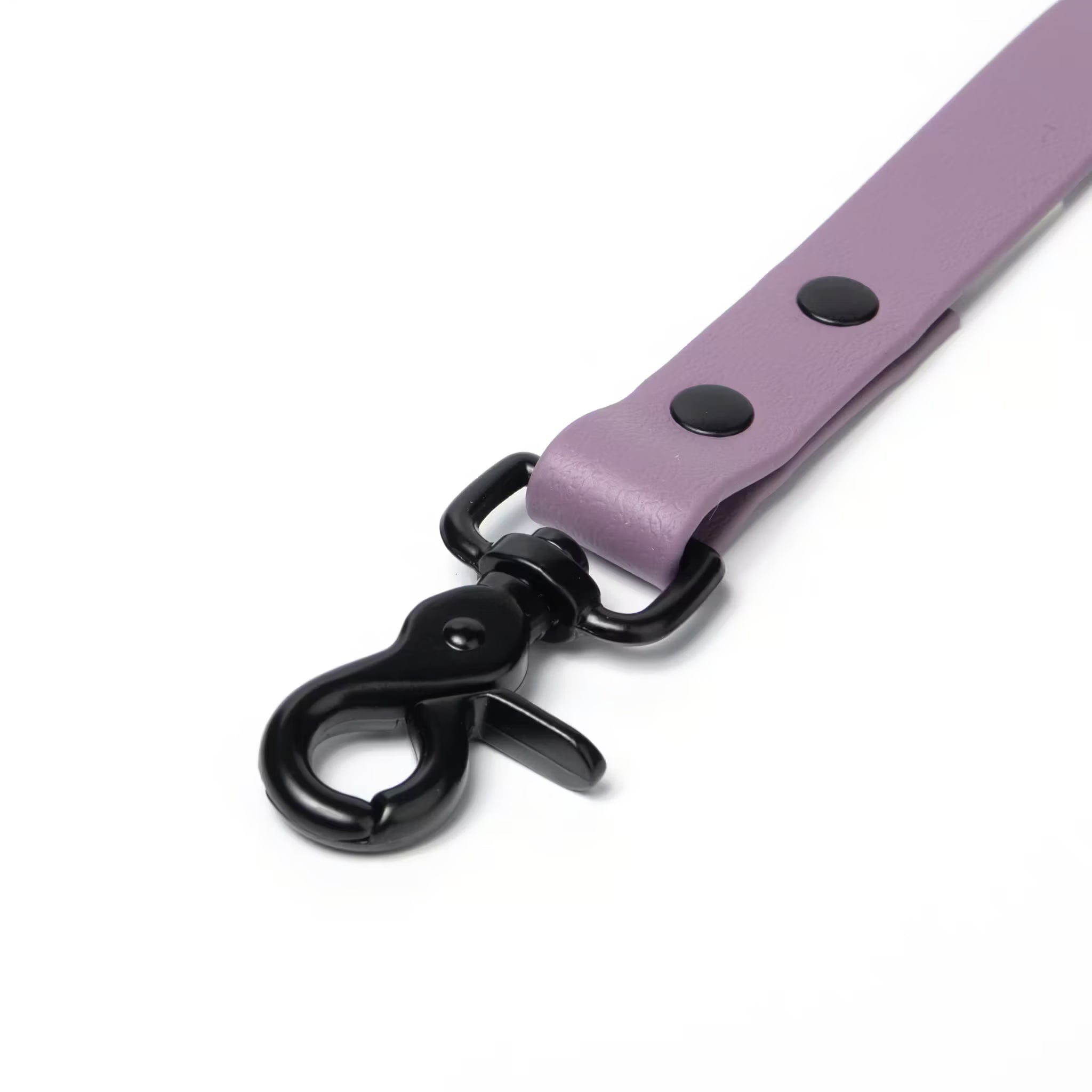 BioThane® Waterproof Dog Leash - Mauve