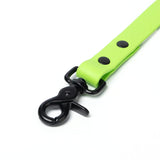 BioThane® Waterproof Dog Leash - Lime