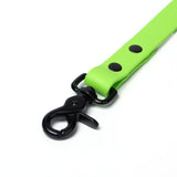 BioThane® Waterproof Dog Leash - Lime