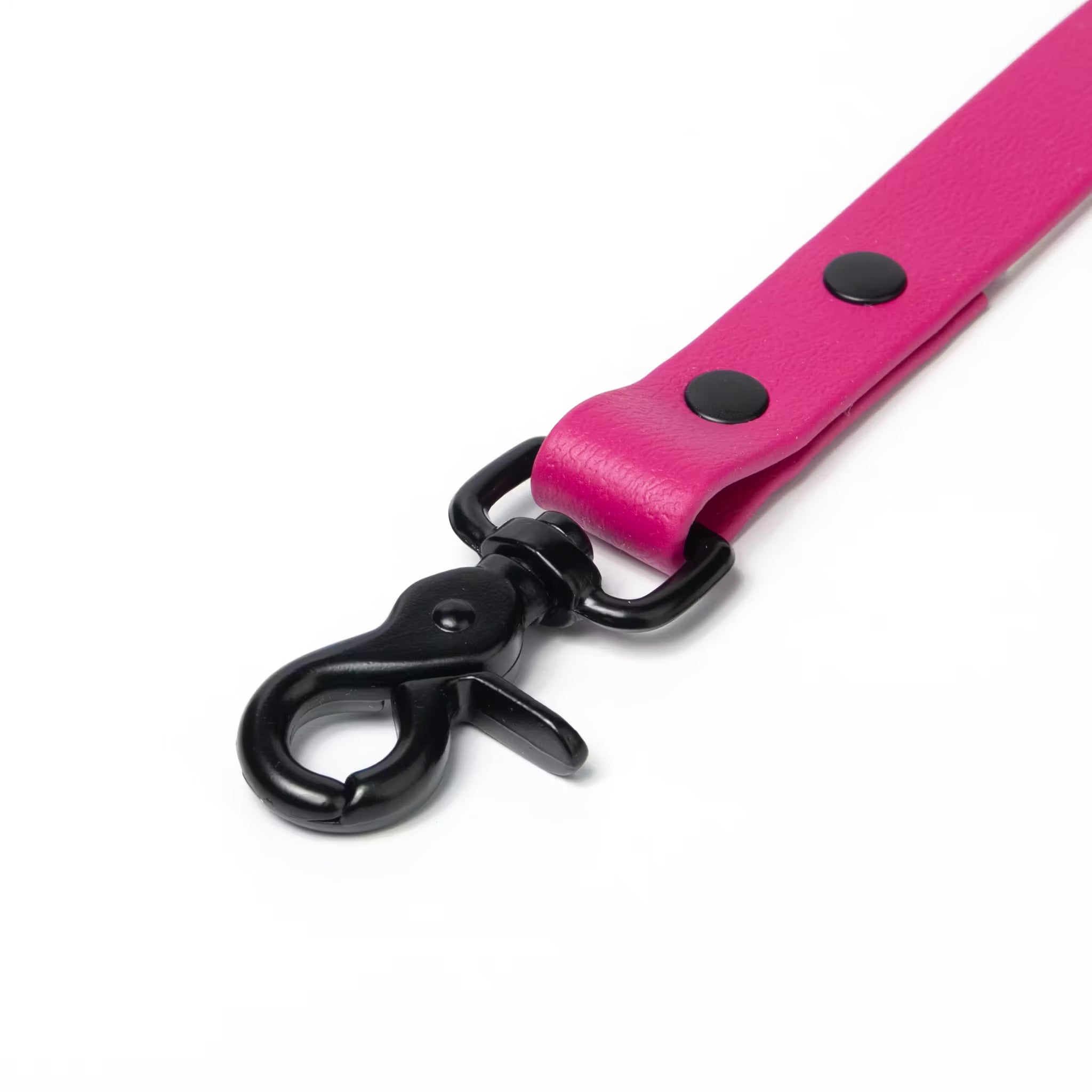BioThane® Waterproof Dog Leash - Magenta