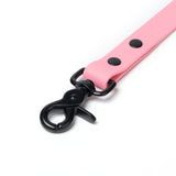 BioThane® Waterproof Dog Leash - Pastel Pink