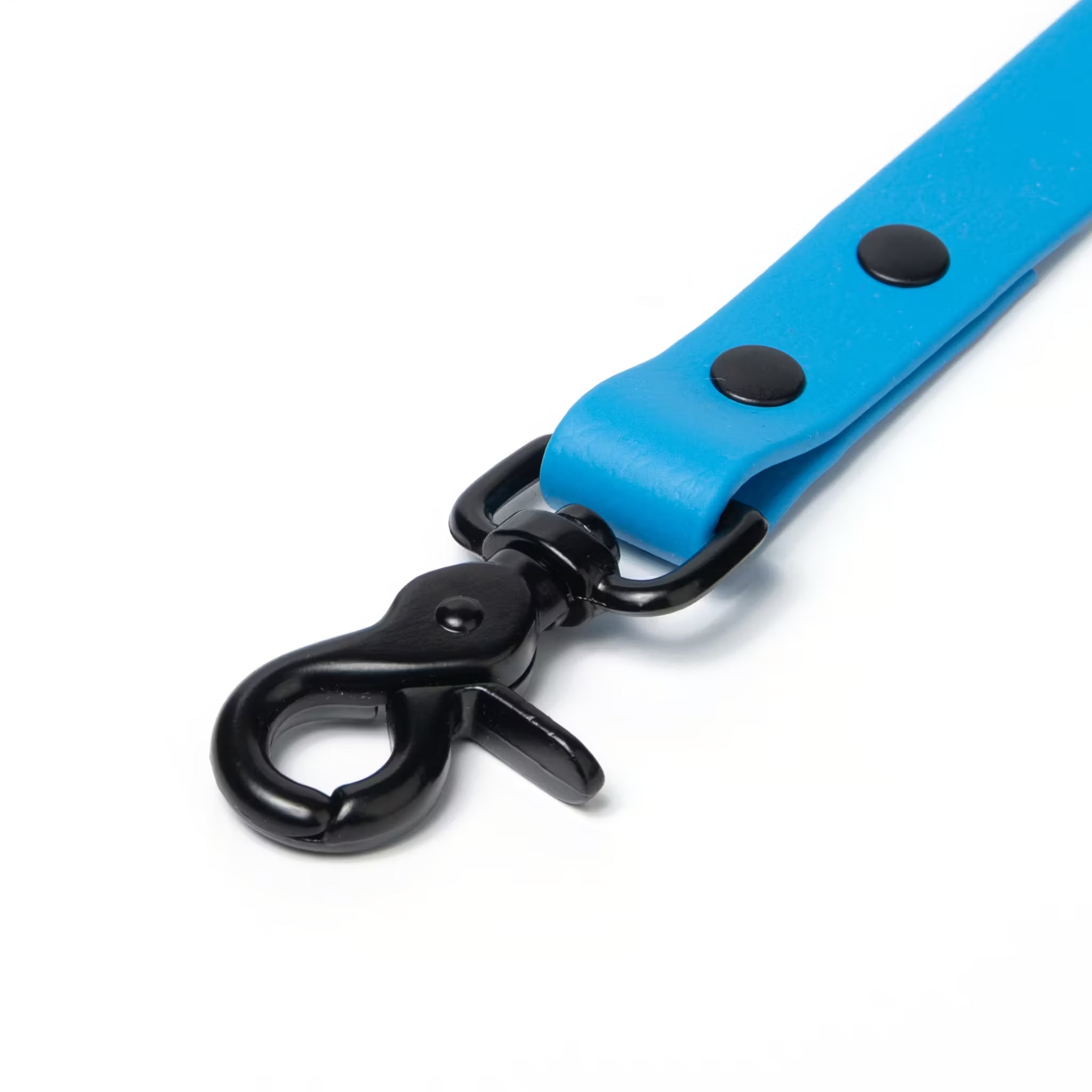 BioThane® Waterproof Dog Leash - Azure