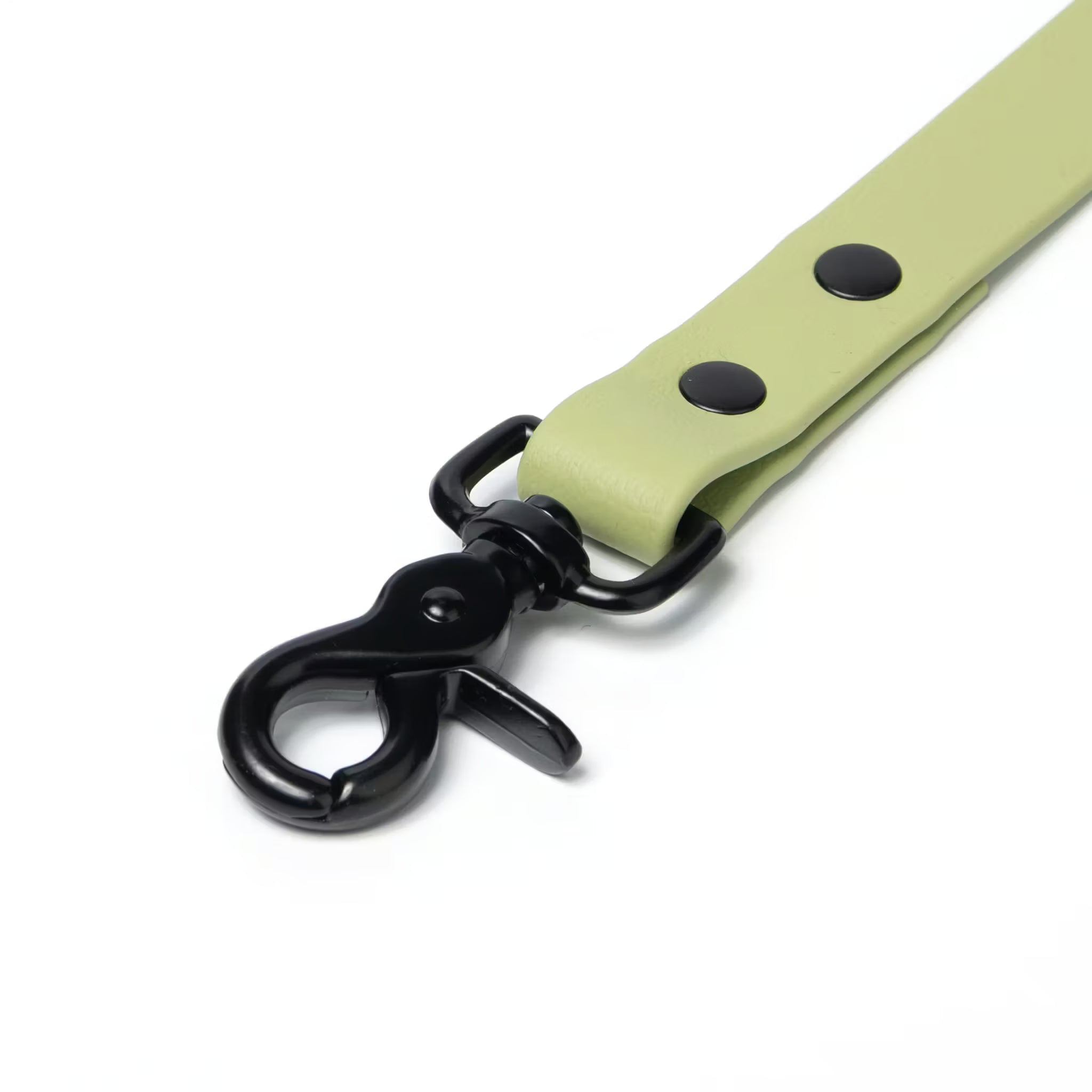 BioThane® Waterproof Dog Leash - Matcha