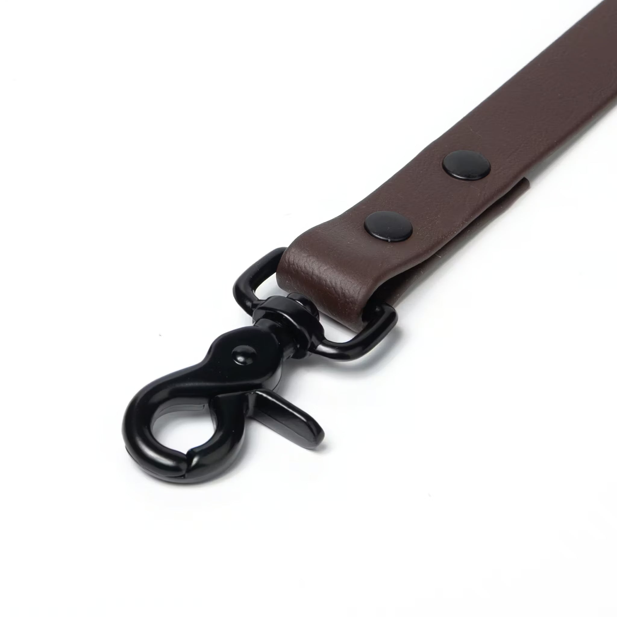 BioThane® Waterproof Dog Leash - Espresso