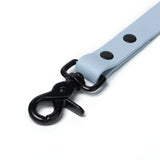 BioThane® Waterproof Dog Leash - Pastel Blue