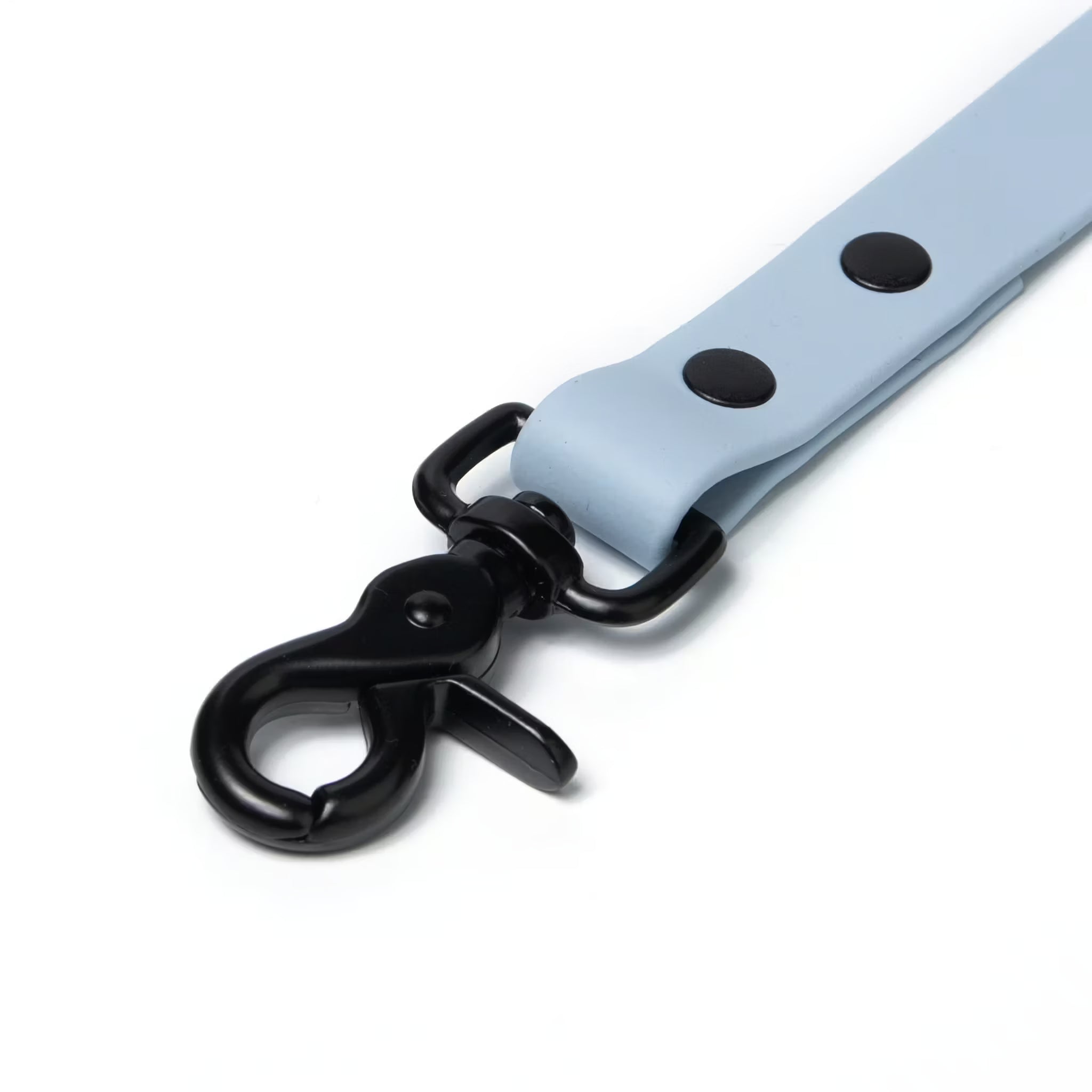 BioThane® Waterproof Dog Leash - Pastel Blue
