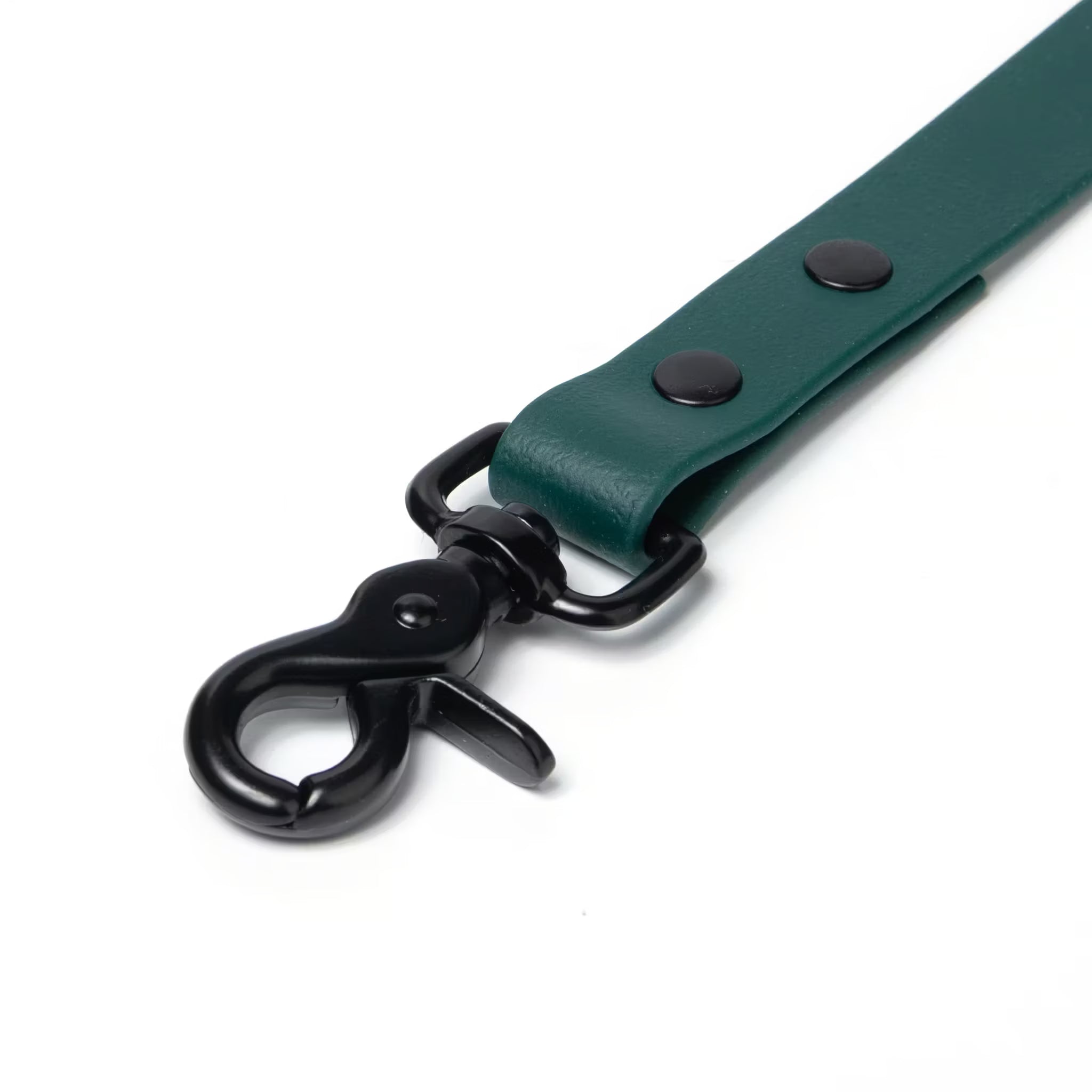 BioThane® Waterproof Dog Leash - Emerald