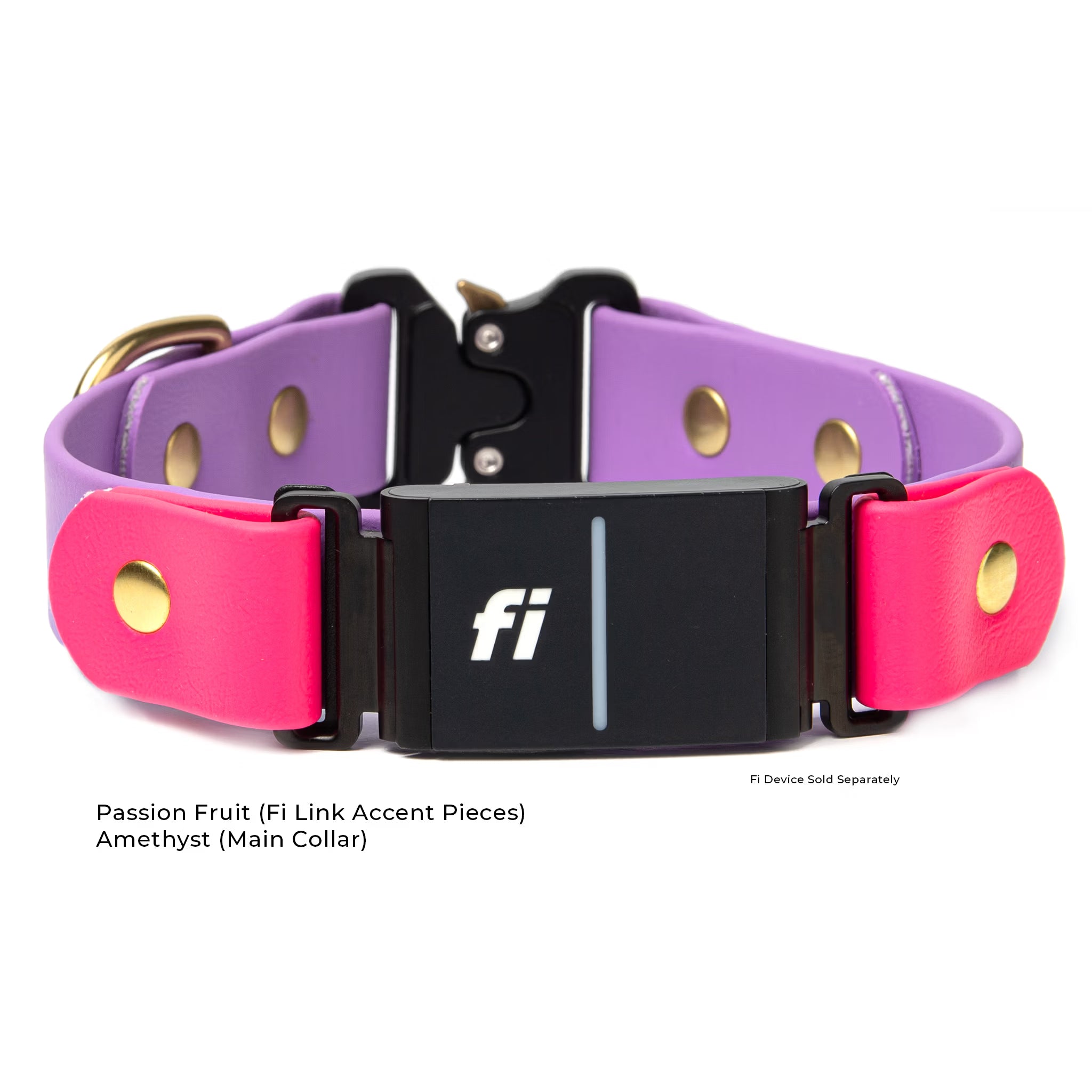 Amethyst and passion fruit-compatible quick-release dog collar with brass hardware, featuring a black 'fi' GPS on a white background.