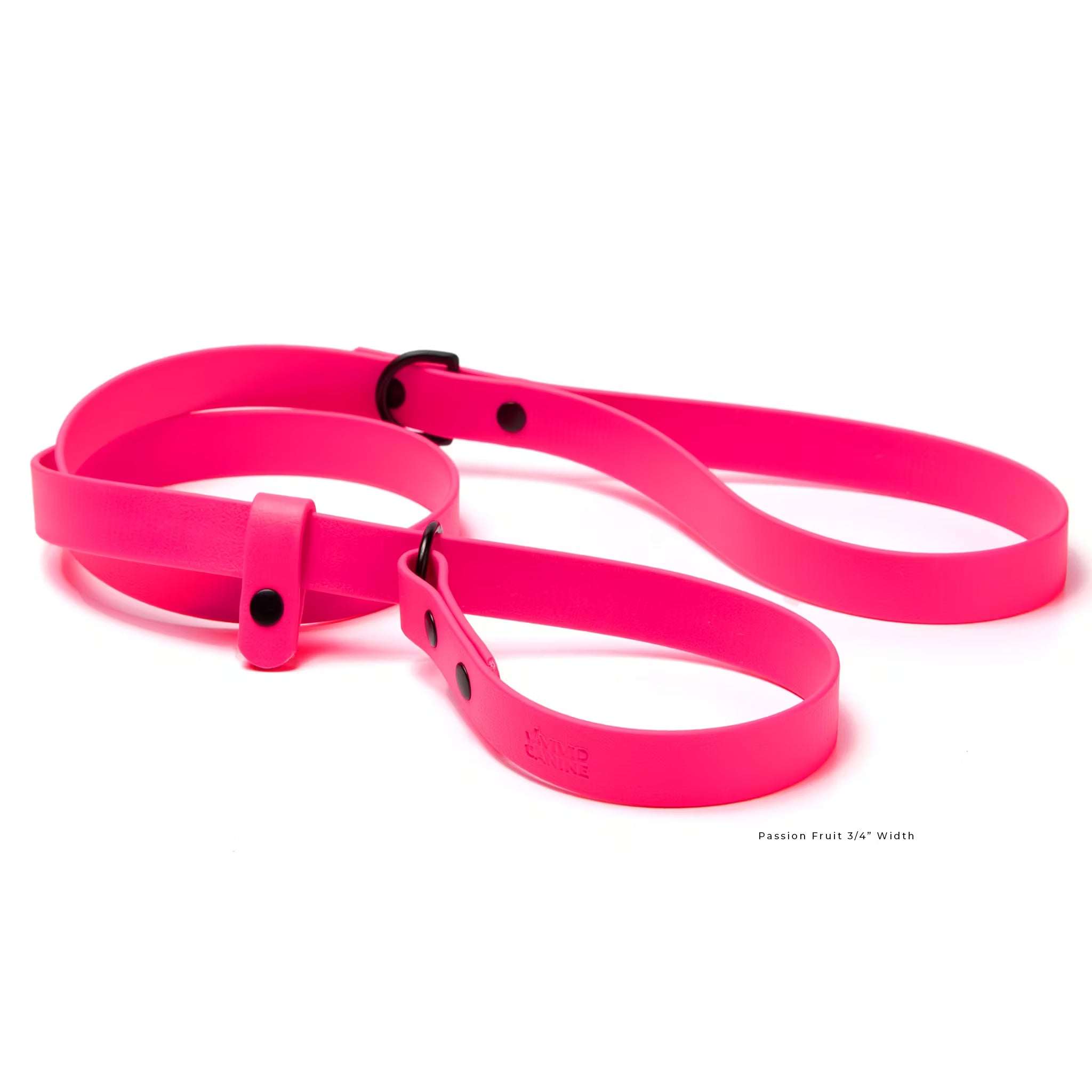 Close-up of BioThane slip leash showing durable construction and hardware detail