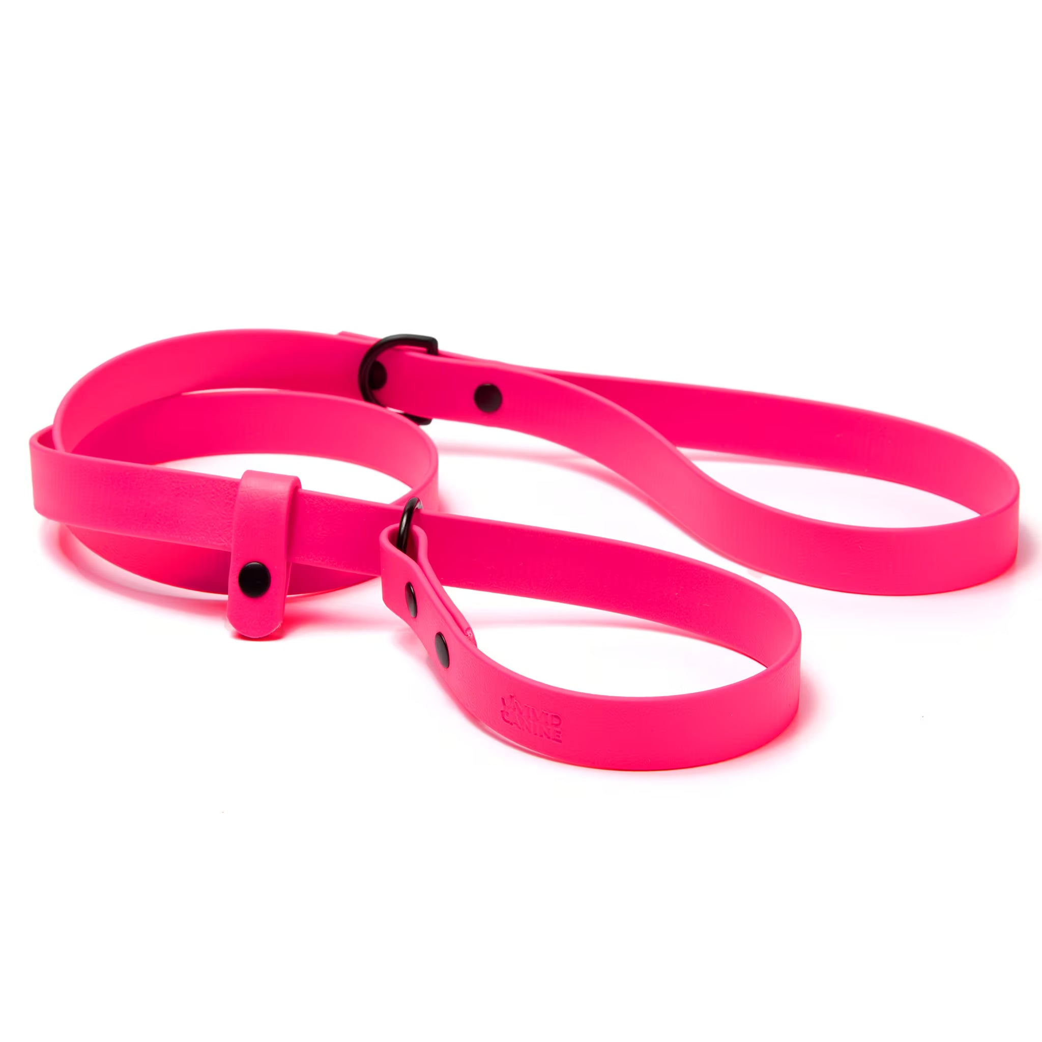 Close-up of BioThane slip leash showing durable construction and hardware detail